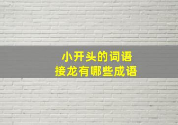 小开头的词语接龙有哪些成语