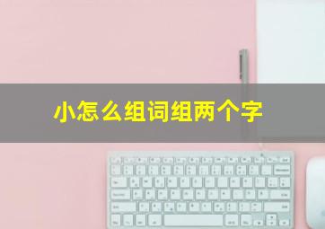 小怎么组词组两个字