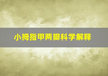 小拇指甲两瓣科学解释