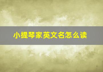 小提琴家英文名怎么读