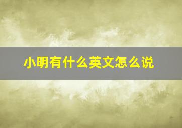 小明有什么英文怎么说