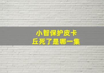 小智保护皮卡丘死了是哪一集