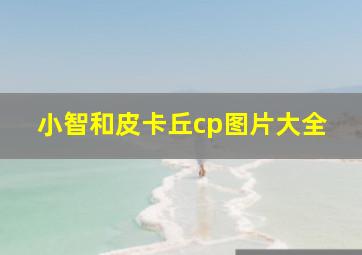 小智和皮卡丘cp图片大全