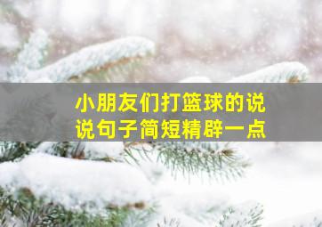 小朋友们打篮球的说说句子简短精辟一点