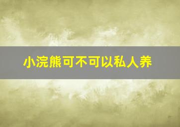 小浣熊可不可以私人养