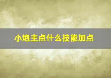 小炮主点什么技能加点