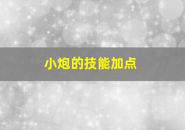 小炮的技能加点