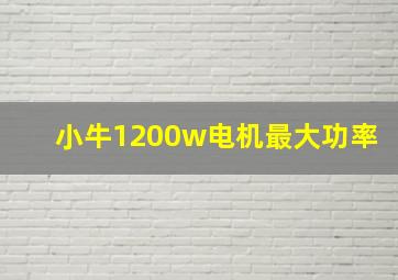 小牛1200w电机最大功率