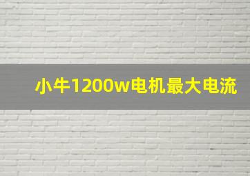 小牛1200w电机最大电流