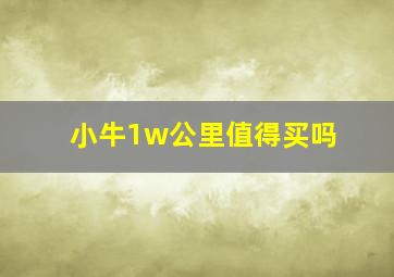 小牛1w公里值得买吗