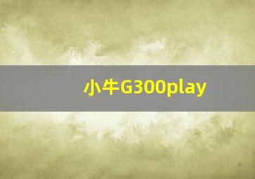 小牛G300play