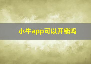 小牛app可以开锁吗