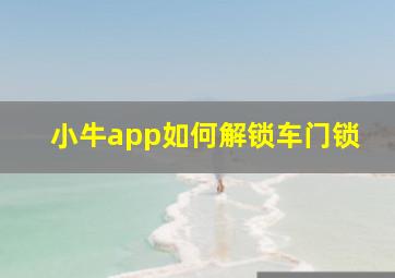 小牛app如何解锁车门锁