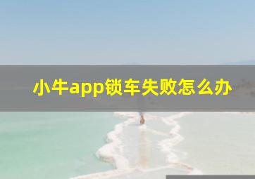 小牛app锁车失败怎么办