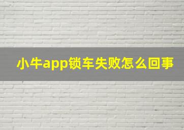 小牛app锁车失败怎么回事