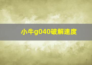 小牛g040破解速度