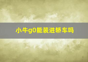 小牛g0能装进轿车吗