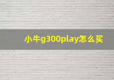 小牛g300play怎么买