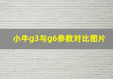 小牛g3与g6参数对比图片