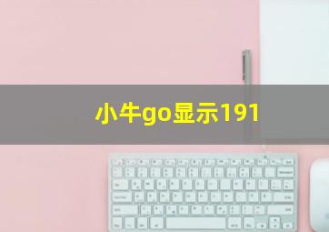 小牛go显示191