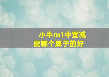 小牛m1中置减震哪个牌子的好