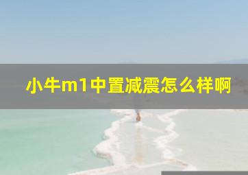 小牛m1中置减震怎么样啊