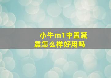 小牛m1中置减震怎么样好用吗