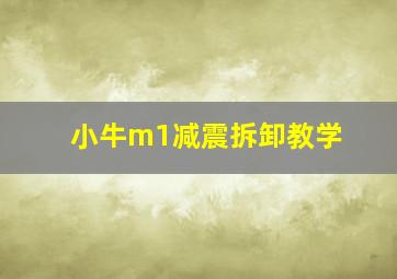 小牛m1减震拆卸教学