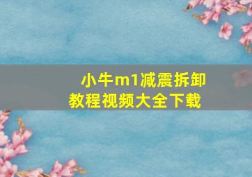 小牛m1减震拆卸教程视频大全下载