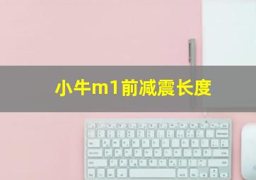 小牛m1前减震长度