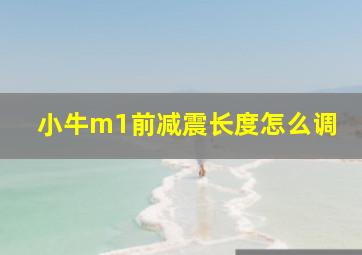 小牛m1前减震长度怎么调