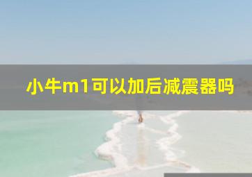 小牛m1可以加后减震器吗