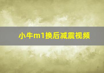 小牛m1换后减震视频