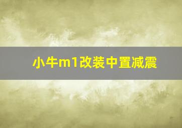 小牛m1改装中置减震