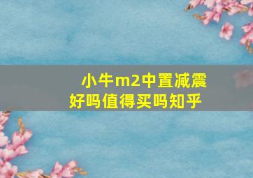 小牛m2中置减震好吗值得买吗知乎