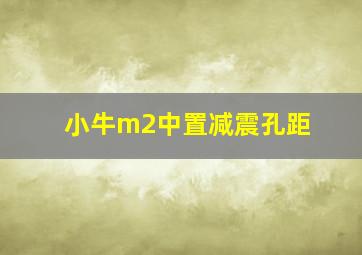 小牛m2中置减震孔距