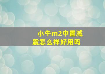 小牛m2中置减震怎么样好用吗