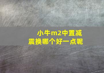 小牛m2中置减震换哪个好一点呢