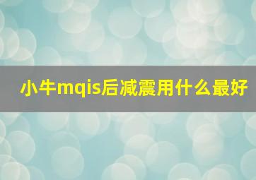 小牛mqis后减震用什么最好