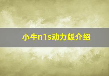 小牛n1s动力版介绍