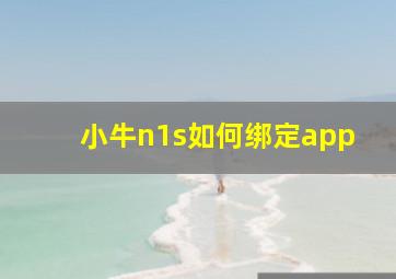 小牛n1s如何绑定app