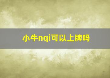 小牛nqi可以上牌吗