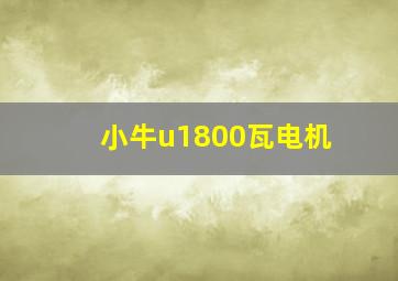 小牛u1800瓦电机