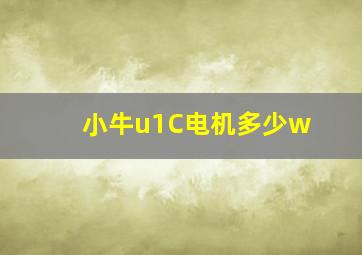 小牛u1C电机多少w