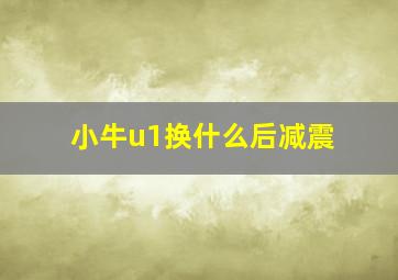 小牛u1换什么后减震