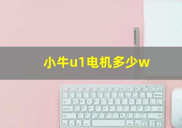 小牛u1电机多少w