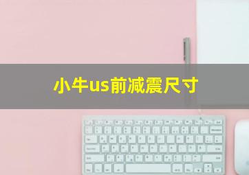 小牛us前减震尺寸