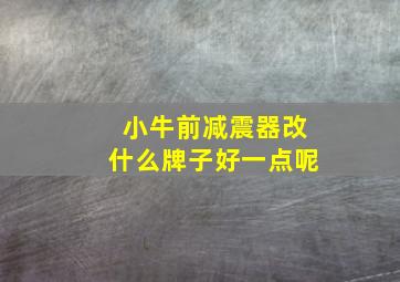 小牛前减震器改什么牌子好一点呢