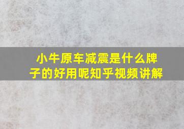 小牛原车减震是什么牌子的好用呢知乎视频讲解