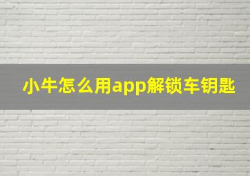 小牛怎么用app解锁车钥匙